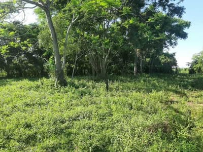 VENDO TERRENO AMPLIO EN EMBOSCADA  8640m²