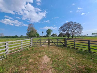 Estancia en venta con 319 ha. Concepción, Loreto. 