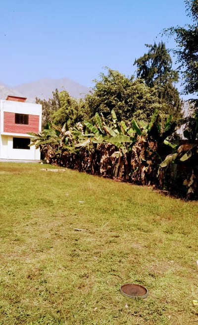 VENTA DE CASA EN EL ÁREA DE CIENEGUILLA 1520 M2 