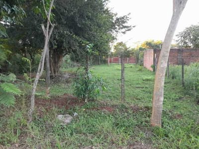 En Barcequillo, terreno en venta