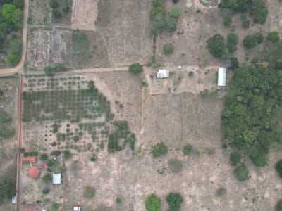 Terreno Agricola 1ha En Venta