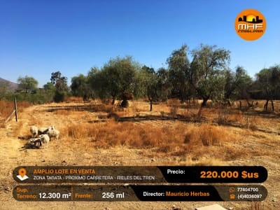 EN VENTA AMPLIA PROPIEDAD 12.300 M2 EN TARATA PROXIMO CARRETERA