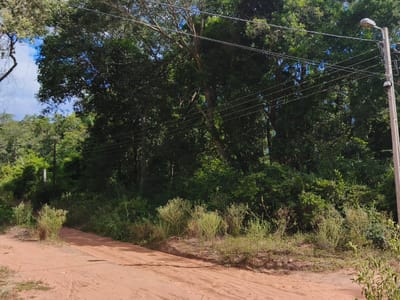 VENDO TERRENO ESQUINA 1200 M² EN CRISTÓBAL COLÓN, SAN BERNARDINO