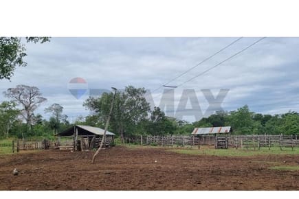 VENDO 52 HECTAREAS EN SAN PEDRO DE YCUAMANDIYU
