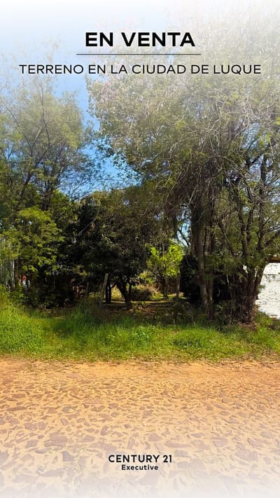 VENDO TERRENO EN LUQUE (Entrada al Barrio Palma Loma) 