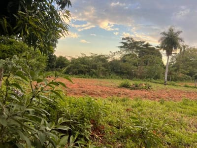 VENDO TERRENO EN YPANE PASO DE ORO