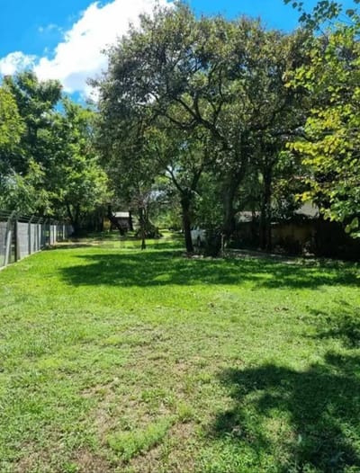 VENTA DE AMPLIO TERRENO DE 1.200 M²