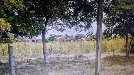 VENDO O PERMUTO TERRENO EN PIRAYÚ