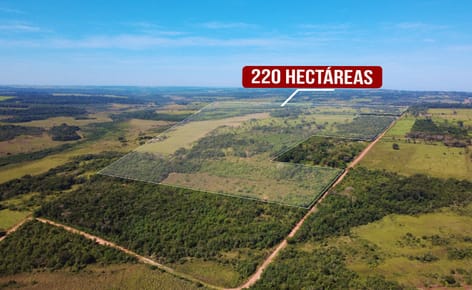 220 Hectáreas en Punta Suerte, Santaní