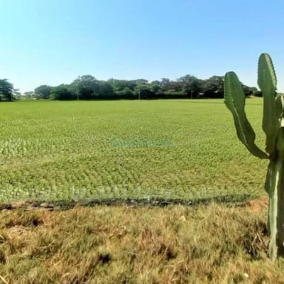 Terrenos Agricolas CAL Predio San Francisco Valle Chancay
