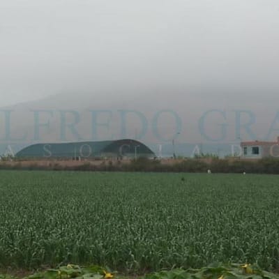 Terrenos Agricolas CAR PANAMERICANA NORTE