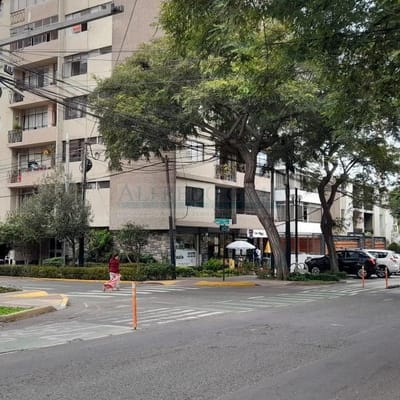 Terrenos Comerciales AV Dos de Mayo