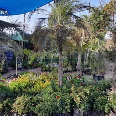 Terrenos Residenciales AV La Molina Este