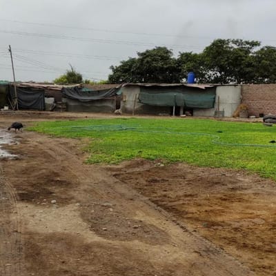 Terrenos Agricolas Sector Esquivel Valle Chancay