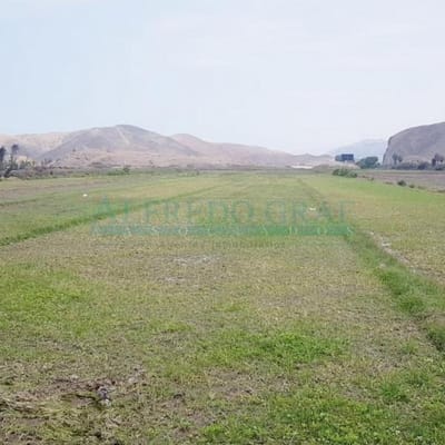 Terrenos Residenciales Proyecto San Pedro de Mala
