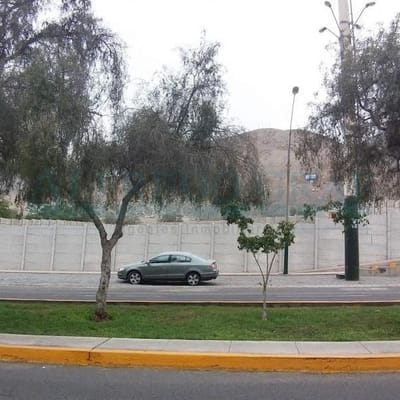 Terrenos Comerciales AV Central