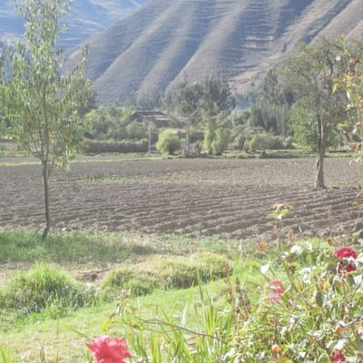Terrenos Comerciales CAL Vilcanota Sector Huachac Villa Esperanza