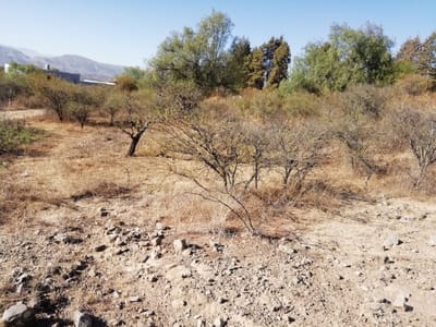 Se vende hermoso terreno de 1000 m2