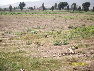 terreno en pachacamac pampagrande