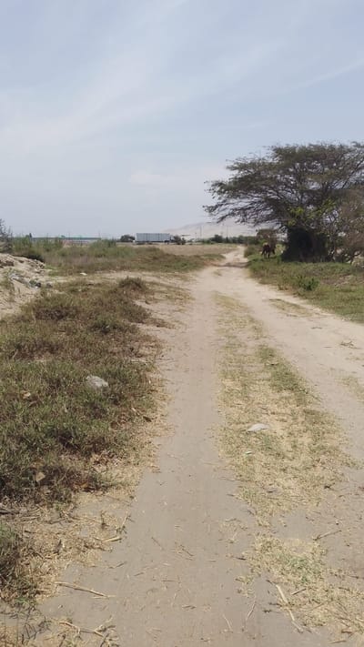 TERRENO HUAMBACHO EL ARENAL 10 000 M2 CERCA A LA PANAMERICANA NORTE