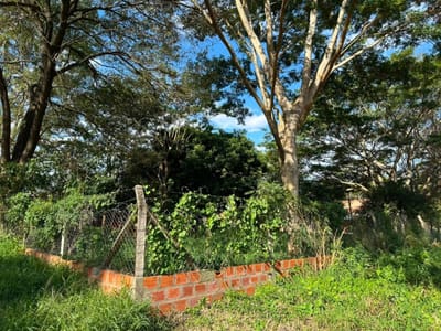 VENDO PROPIEDAD SOBRE LA AVENIDA AMERICO PICCO - BARRIO CENTRO DE VILLA ELISA