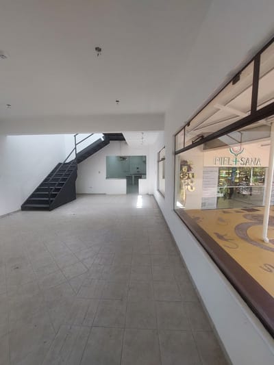 Alquiler de Local Comercial – Avenida Boggiani.