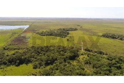 CAMPO EN VENTA 300 HECTÁREAS EN CARAGUATAY