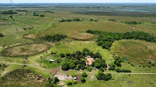 VENTA - Estancia agropecuaria 244 ha en Tacuaras - Pilar, Neembucu