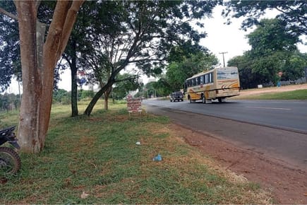 VENDO 4 HECTAREAS EN GUAYAIBI SAN PEDRO SOBRE RUTA