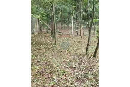 VENDO TERRENO ZONA ANFITEATRO