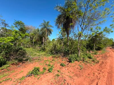 VENDO TERRENO DE 1 HECTÁREA EN YAGUARÓN