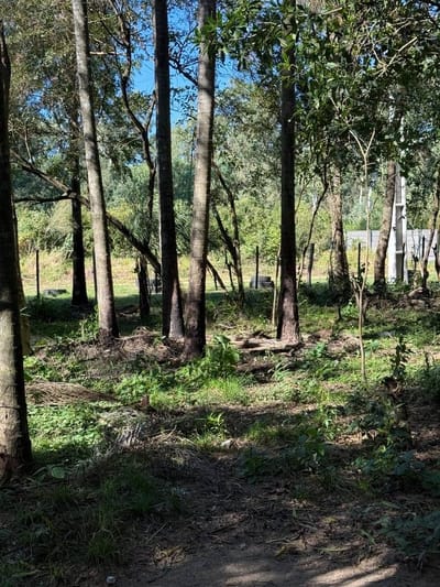 TERRENO DE 6.7 HA EN SAN BERNARDINO