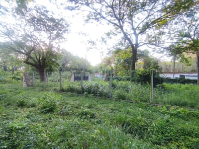 EN VENTA SAN BERNARDINO TERRENO EN ESQUINA EN ALTURA