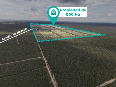 Propiedad Ganadera En Venta En Pailon Sur 