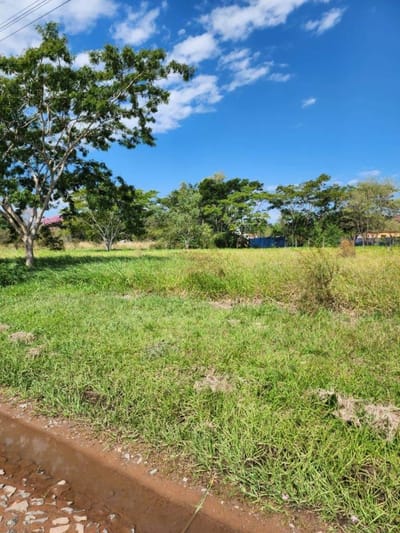EN VENTA LOTE EN SURUBII MARIANO ROQUE ALONSO
