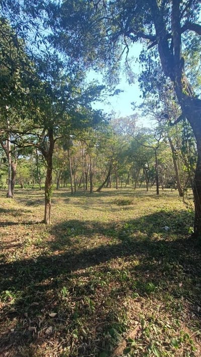 VENDO TERRENO EN SAN BERNARDINO