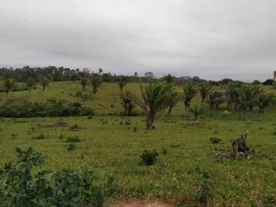 169 Hectareas En Urubo Norte 