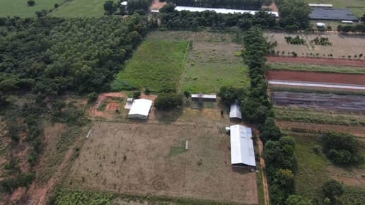 FINCA PRODUCTIVA EN VENTA – 8 HECTÁREAS EN NUEVA ITALIA