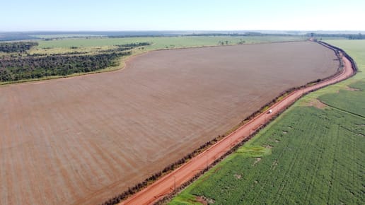 En venta campo de 1.001 hectáreas productivas en curuguaty 