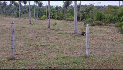 VENDO TERRENOS EN ALTOS, JUNTOS O SEPARADOS