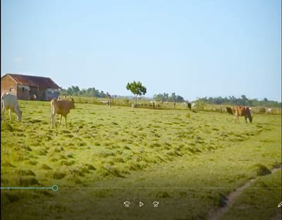 A 96 km de ASUNCION, LA TIERRA QUE NO SABE QUE VA A VALER EL DOBLE...!!!