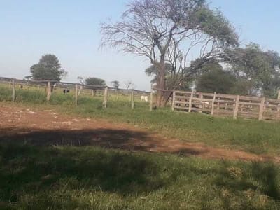  VENDO ESTANCIA EN ALTO PARAGUAY-FORTIN FLORIDA, 1600 HAS