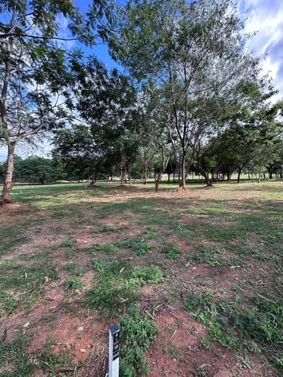 Vendo terreno en Barrio Cerrado La Floresta – Villa Elisa