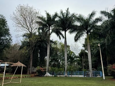 QUINTA EN VENTA – ITÁ