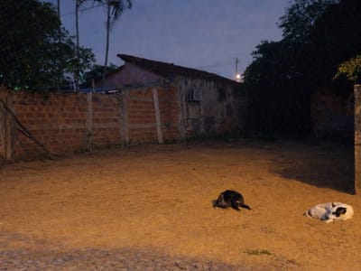 VENDO TERRENO EN BARRIO LOMA MERLO LUQUE.