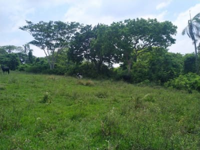 Hermoso terreno Urubo Tarumatu en Venta