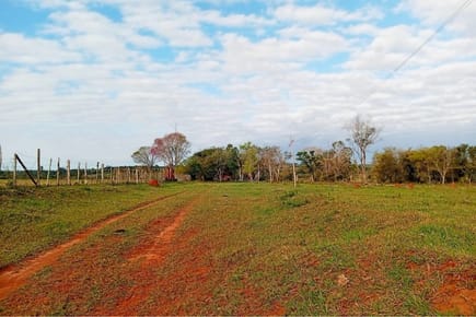 Vendo 145 HECTÁREAS en CAAGUAZÚ, Paraguay
