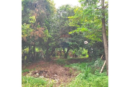 TERRENO EN LA CIUDAD DE ÑEMBY, PA´I ÑU