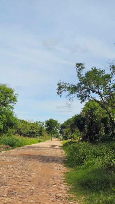 Terrenos en oferta San Bernardino