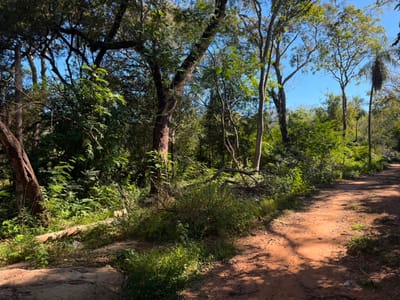 VENDO TERRENOS EN BARRIO 6 – SAN BERNARDINO
